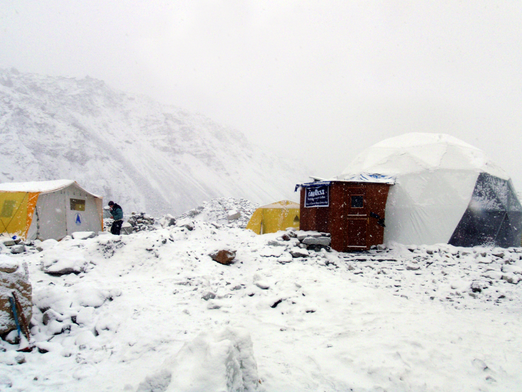 White pod is white